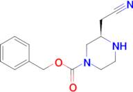 1-Piperazinecarboxylic acid, 3-(cyanomethyl)-, phenylmethyl ester, (3R)-