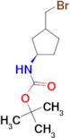 tert-butyl N-[(1R)-3-(bromomethyl)cyclopentyl]carbamate