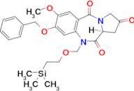 (S)-8-(Benzyloxy)-7-methoxy-10-((2-(trimethylsilyl)ethoxy)methyl)-1H-benzo[e]pyrrolo[1,2-a][1,4]di…