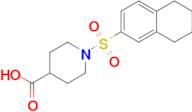 1-((5,6,7,8-Tetrahydronaphthalen-2-yl)sulfonyl)piperidine-4-carboxylic acid