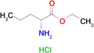 Ethyl (R)-2-aminopentanoate hydrochloride