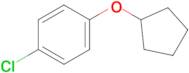 1-Chloro-4-(cyclopentyloxy)benzene