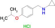 N-(4-Isopropoxybenzyl)cyclopropanamine hydrochloride