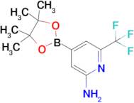 4-(4,4,5,5-Tetramethyl-1,3,2-dioxaborolan-2-yl)-6-(trifluoromethyl)pyridin-2-amine