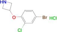 3-(4-Bromo-2-chlorophenoxy)azetidine hydrochloride