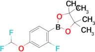 2-(4-(Difluoromethoxy)-2-fluorophenyl)-4,4,5,5-tetramethyl-1,3,2-dioxaborolane