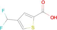 4-(Difluoromethyl)thiophene-2-carboxylic acid