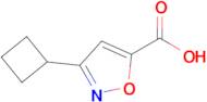 3-Cyclobutylisoxazole-5-carboxylic acid