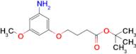 1,1-Dimethylethyl 4-(3-amino-5-methoxyphenoxy)butanoate