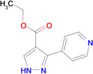 Ethyl 3-(pyridin-4-yl)-1H-pyrazole-4-carboxylate