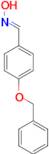 (E)-N-{[4-(benzyloxy)phenyl]methylidene}hydroxylamine
