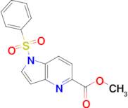 Methyl 1-(phenylsulfonyl)-1H-pyrrolo[3,2-b]pyridine-5-carboxylate