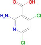 2-Amino-4,6-dichloronicotinic acid