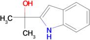 2-(1H-Indol-2-yl)propan-2-ol