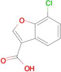 7-Chloro-3-benzofurancarboxylic acid