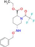 (2S,5R)-ethyl 5-((benzyloxy)amino)-1-(2,2,2-trifluoroacetyl)piperidine-2-carboxylate