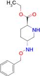 (2S,5R)-Ethyl 5-((benzyloxy)amino)piperidine-2-carboxylate