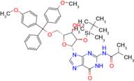 5'-O-DMT-2'-O-iBu-N-Bz-Guanosine