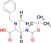 (1R,4R)-rel-2-Benzyl-5-(tert-butoxycarbonyl)-2,5-diazabicyclo[2.2.1]heptane-3-carboxylic acid