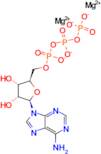 ATP (dimagnesium)