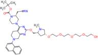 K-Ras ligand-Linker Conjugate 5