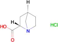 (1R,2S,4R)-rel-1-Azabicyclo[2.2.1]heptane-2-carboxylic acid hydrochloride)