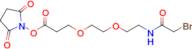 Bromoacetamido-PEG2-C2-NHS ester
