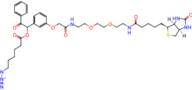 UV Cleavable Biotin-PEG2-Azide