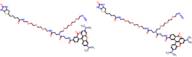 TAMRA-Azide-PEG-biotin