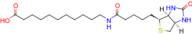 (+)-Biotin-SLC