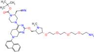 K-Ras ligand-Linker Conjugate 6