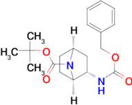 (1R,2S,4S)-tert-Butyl 2-(((benzyloxy)carbonyl)amino)-7-azabicyclo[2.2.1]heptane-7-carboxylate