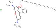 Octadecyl Rhodamine B (chloride)