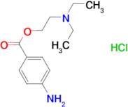 Procaine (hydrochloride)