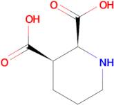Cis-piperidine-2,3-dicarboxylic acid