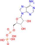 Adenosine 5'-diphosphate