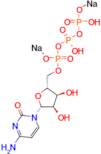 Cytidine-5'-triphosphate (disodium)