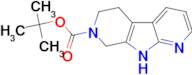 tert-Butyl 5,6,8,9-tetrahydro-7H-pyrrolo[2,3-b:5,4-c']dipyridine-7-carboxylate