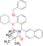 [S(R)]-N-[(S)-[3-(Benzyloxy)-2-(dicyclohexylphosphino)phenyl]-(2-naphthalenyl)methyl]-N,2-dimethyl…