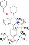 [S(R)]-N-[(S)-[3,5-Di-tert-butyl-4-methoxyphenyl][(3-benzyloxy-2-(dicyclohexylphosphino)phenyl)m...