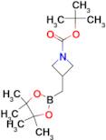 tert-Butyl 3-[(tetramethyl-1,3,2-dioxaborolan-2-yl)methyl]azetidine-1-carboxylate