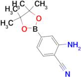 2-Amino-4-(tetramethyl-1,3,2-dioxaborolan-2-yl)benzonitrile