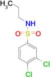 3,4-Dichloro-n-propylbenzene-1-sulfonamide