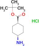 Cis-tert-Butyl-4-aminocyclohexane-1-carboxylate hydrochloride