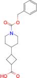 1-(Phenylmethyl)-4-(3-carboxycyclobutyl)-1-piperidinecarboxylate