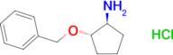 (1S,2S)-2-(benzyloxy)cyclopentan-1-amine (hydrochloride)