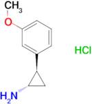 trans-(1S,2R)-2-(3-Methoxyphenyl)cyclopropanamine hydrochloride