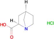 (1R,2R,4R)-rel-1-Azabicyclo[2,2,1]heptane-2-carboxylic acid hydrochloride