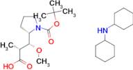 Dicyclohexylamine (2R,3R)-3-((S)-1-(tert-butoxycarbonyl)pyrrolidin-2-yl)-3-methoxy-2-methylpropa...