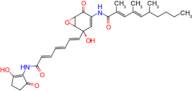 Manumycin A, Streptomyces parvulus